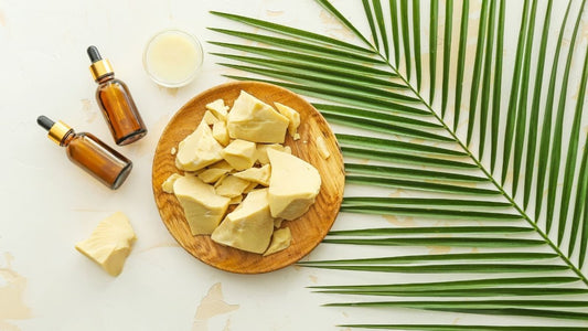 Beurre de cacao vs Beurre de karité : Quel trésor naturel choisir pour votre peau ?- ethnilink