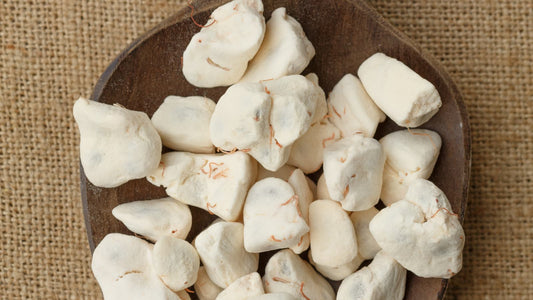 La poudre de baobab : une source riche en antioxydants et nutriments essentiels