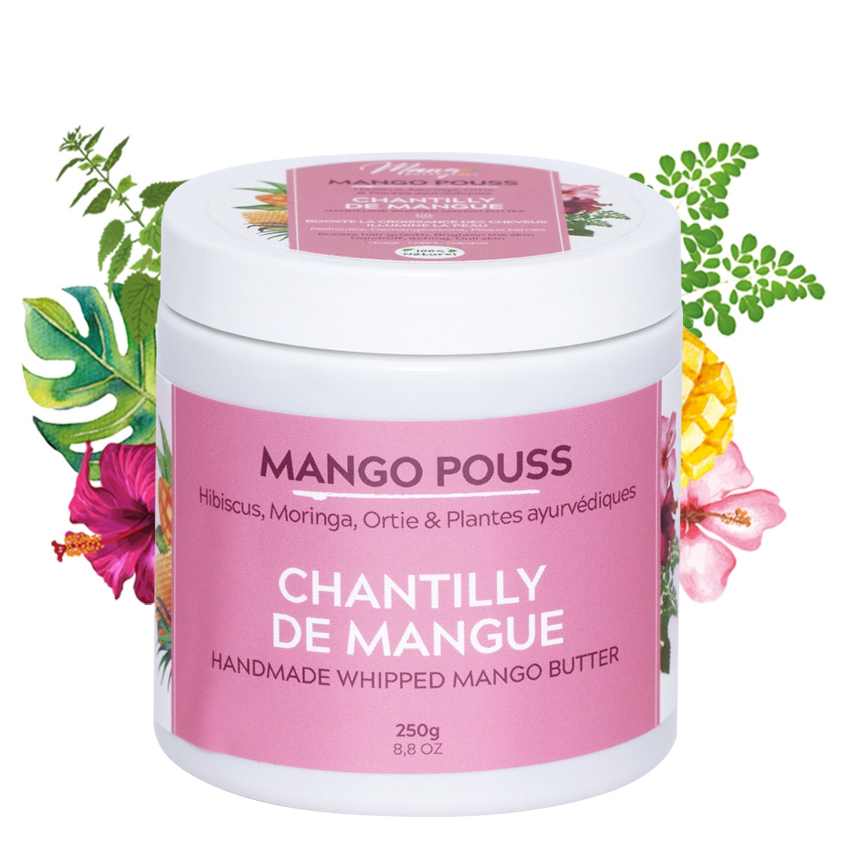 Mango Butterfull Mango Pouss Chantilly Mangue 250g - Ethnilink