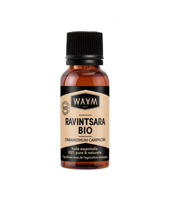 Waam Huile Essentielle Ravintsara Bio - Ethnilink